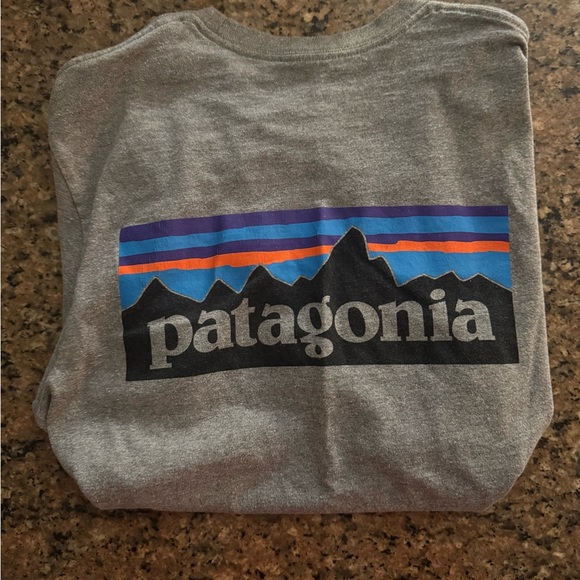 Patagonia Gray Graphic T-Shirt - Picture 1 of 2